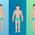 Эктоморф, мезоморф и эндоморф — типы телосложения и тренировки